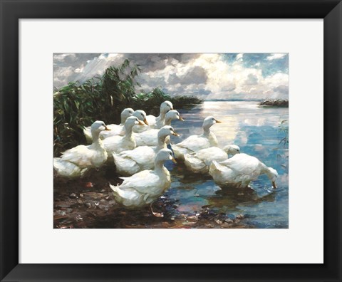 Framed Ducks by the Lake 1 Print