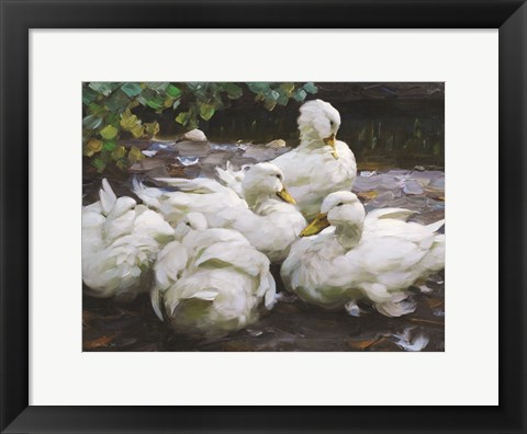 Framed Ducks by the Lake 2 Print