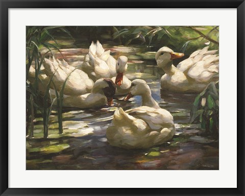 Framed Ducks by the Lake 4 Print