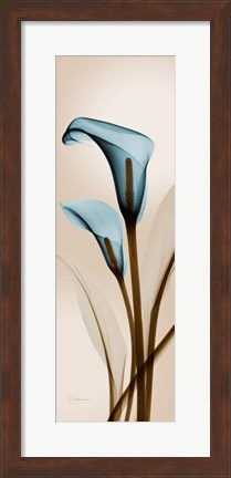 Framed Blue Calla Lily Print