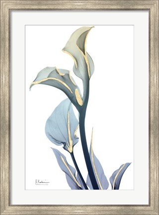 Framed Gold Splash Calla Lily Print