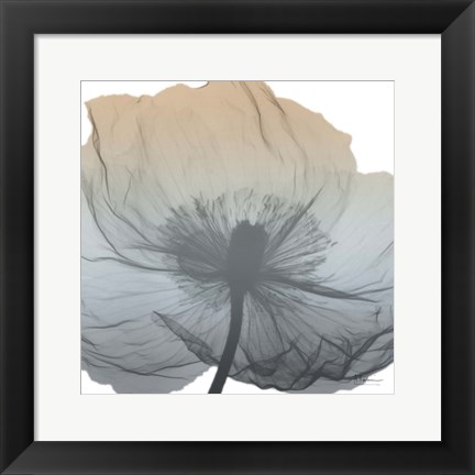 Framed Poppy Earthy Beauty Print