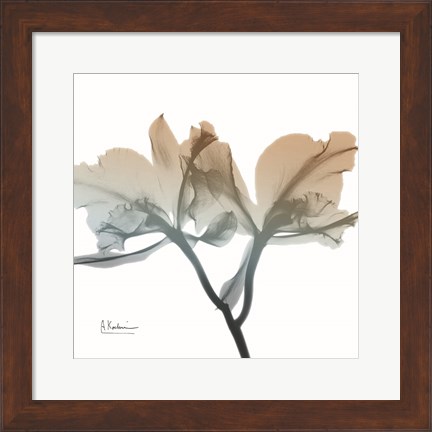 Framed Earthy Orchid Print