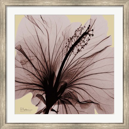 Framed Spring Hibiscus Print