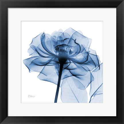 Framed Indigo Rose Print