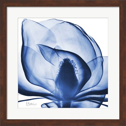 Framed Indigo Magnolia Print