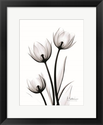 Framed Tulips High Contrast Print