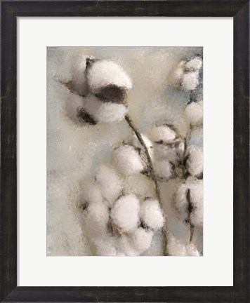 Framed Sprays of Cotton 2 Print