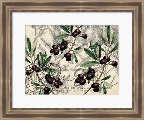 Framed Olive Branch 1 Print
