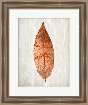 Framed Copper Leaves 1 Print