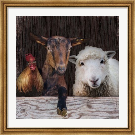 Framed Farm Life Print