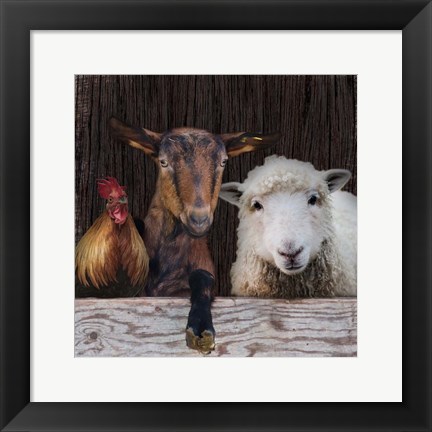 Framed Farm Life Print