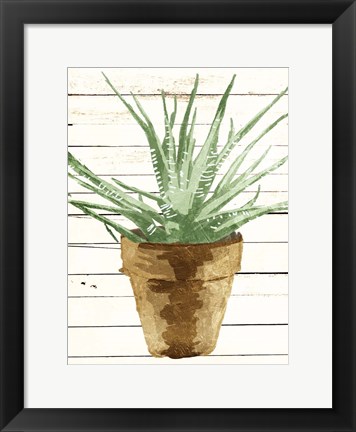 Framed Wood Plant Pot Print