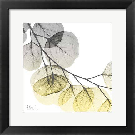 Framed Brilliant Eucalyptus 2 Print