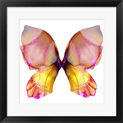 Framed Floral Butterfly 4 Print