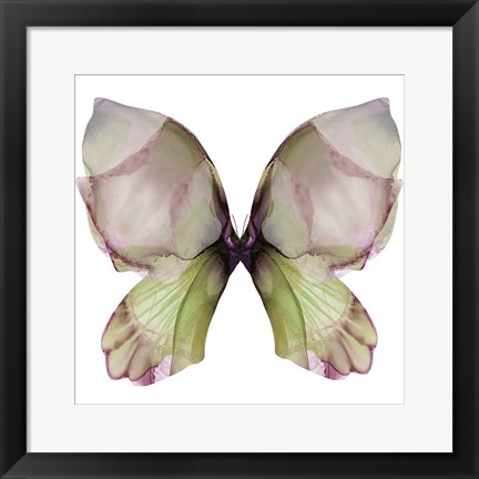 Framed Floral Butterfly 1 Print