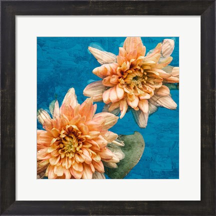 Framed Orange Chrysanthemums Print