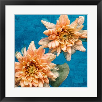 Framed Orange Chrysanthemums Print