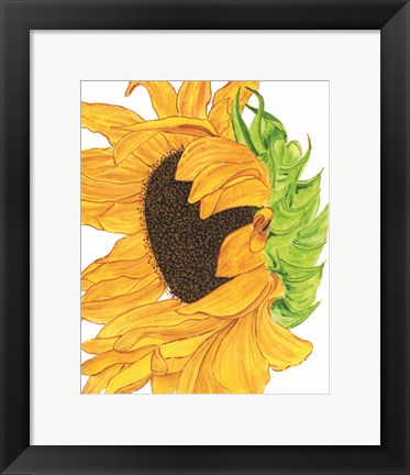 Framed Sunflower 5 Print