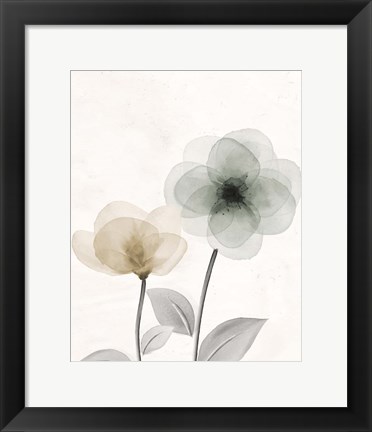 Framed Open Bloom 2 Print