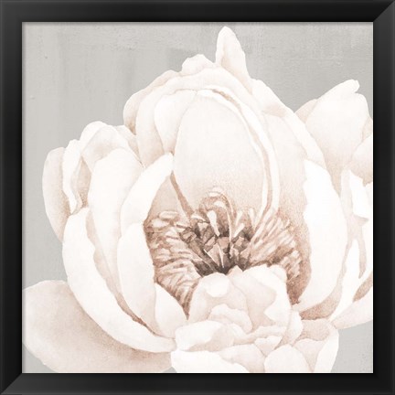 Framed Neutral Peony 1 Print