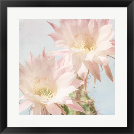 Framed Cactus Bloom Print