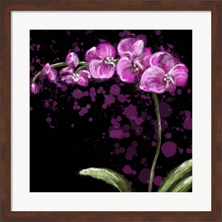 Framed Fuschia Orchid Print