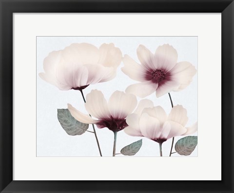 Framed Blooming Youth 2 Print