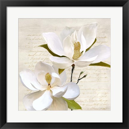 Framed Ivory Magnolia II Print