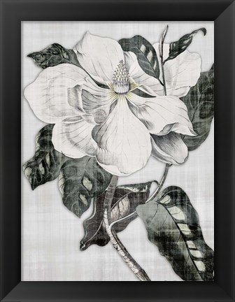 Framed Southern Magnolia 1 Print