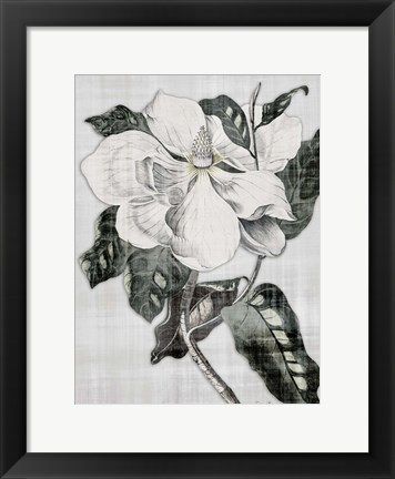 Framed Southern Magnolia 1 Print