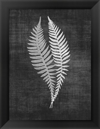 Framed Astor Fern 2 Print