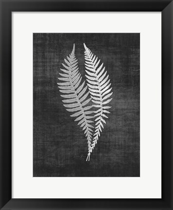 Framed Astor Fern 2 Print