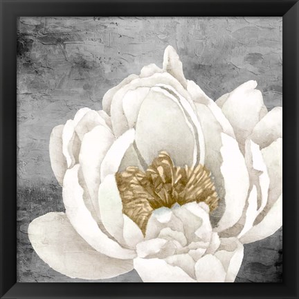 Framed Peony 2 Print