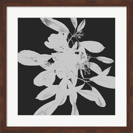 Framed Botanical Dark 2 Print