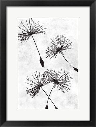 Framed Dandelion Flight 1 Print