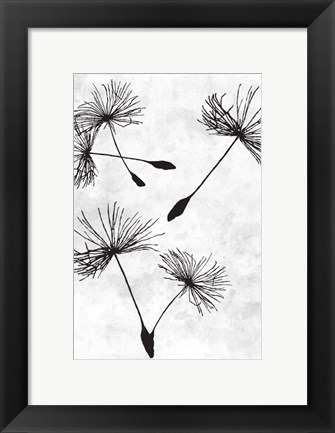 Framed Dandelion Flight 2 Print