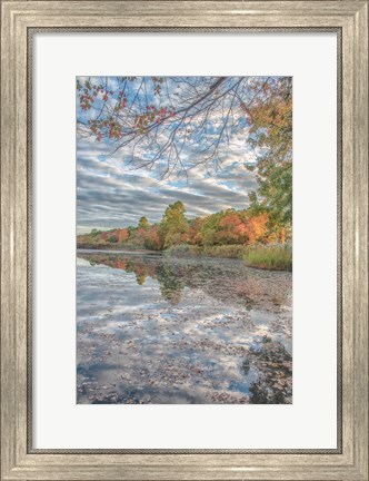 Framed Bayport Fall Print