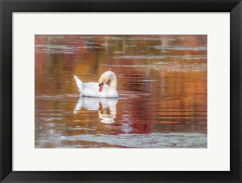 Framed Mill Pond October Print