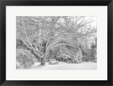 Framed Aboretum December 2 Print