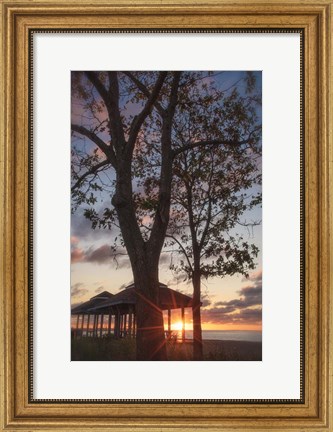 Framed Fragile Shadows Print