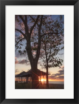 Framed Fragile Shadows Print