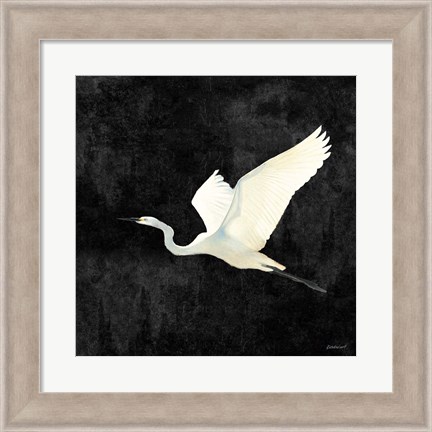 Framed Egret Alighting II Flipped Black Print