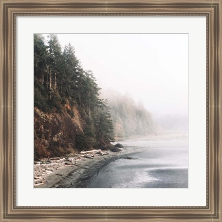 Framed Salt Creek III Color Print