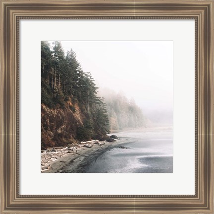 Framed Salt Creek III Color Print