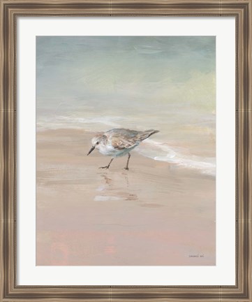 Framed Shorebirds on the Sand III Print