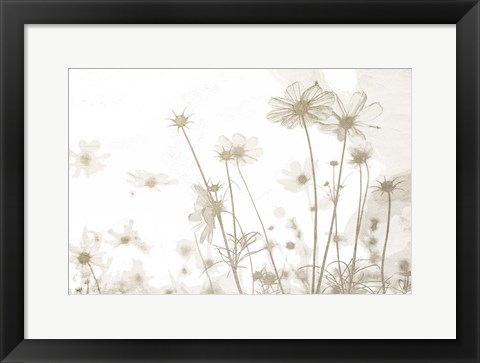 Framed Wildflowers Print