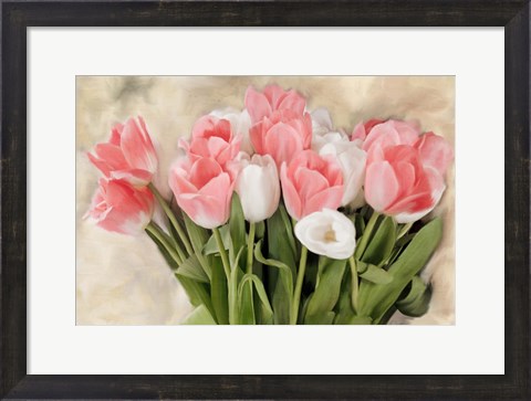 Framed Pink And White Tulips Print