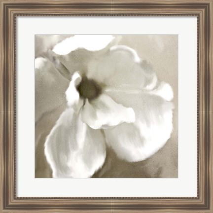 Framed Magnolia Blooming Print