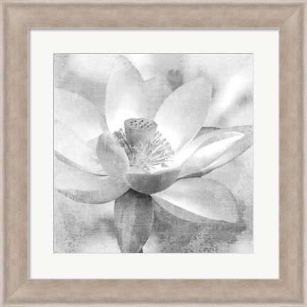 Framed Lotus Print